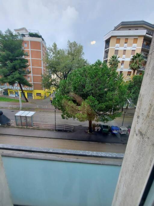Apartment Lovely *
